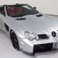 SLR Fab Design for sale (1)