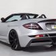 SLR Fab Design for sale (10)
