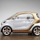 Smart Forvision Concept
