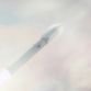 SpaceX Interplanetary Mission (7)