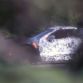 Spy_Photos_Chevrolet_Corvette_C8_02