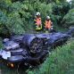 Ferrari fliegt von der A 31 acht Meter tiefer! Zwei Schwerverletzte!