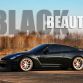 Switzer Ultimate Street Edition GTR