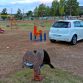 test-drive-fiat-punto-102