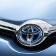 Auris_41