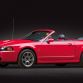 Texan Collector Auctions (11)