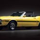 Texan Collector Auctions (5)