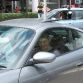 The Exotic Drive 2011