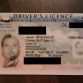 The Worst Driver License Photo