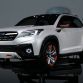 Subaru Viziv-4