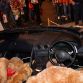 top-gear-live-2011-232