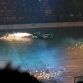 top-gear-live-2011-456