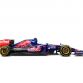 Toro_Rosso_Profile_33_HiRes