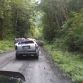 Toyota 4Runner Tree