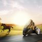 Toyota Concepts for Tokyo Motor Show 2013