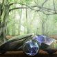 Toyota Concepts for Tokyo Motor Show 2013