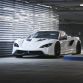 Tushek Renovatio T500