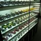 Ultimate F1 Fan House