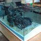 Vintage Rusty Miniature Cars