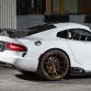 Vivid Racing SRT Viper