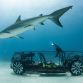 Volkswagen Beetle Convertible Shark Cage