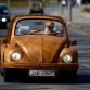 Volkswagen Beetle covered in oak