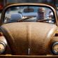 Volkswagen Beetle covered in oak