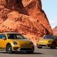 Volkswagen Beetle Dune (10)