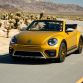 Volkswagen Beetle Dune (6)