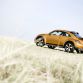 Volkswagen Beetle Dune Concept