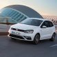 Volkswagen_Polo_GTI_Facelift_2015_(15)