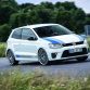 Volkswagen Polo R WRC Street