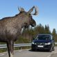 Volvo new safety systems - Vision 2020