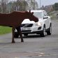 Volvo new safety systems - Vision 2020