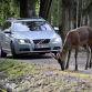 Volvo new safety systems - Vision 2020