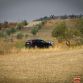 Volvo V60 Cross Country 2015 Spy Photo