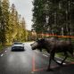 Volvo_V90_Cross_Country_52