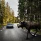 Volvo_V90_Cross_Country_53