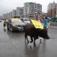 Volvo XC60 pulled by Ox in China