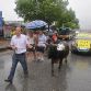 Volvo XC60 pulled by Ox in China