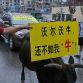 Volvo XC60 pulled by Ox in China