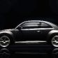 VW Beetle 2012