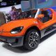 VW buggy up