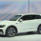 tiguan (1)