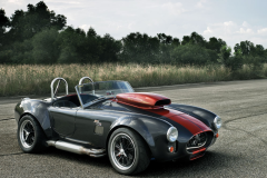 Weibeck Cobra 780 CUI