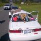 Woman survives crash as dozens of poles pierce through windshield