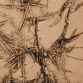 Wood Nanocrystals