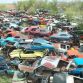 World’s Largest Ford Mustang Salvage Yard