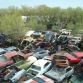 World’s Largest Ford Mustang Salvage Yard