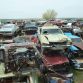 World’s Largest Ford Mustang Salvage Yard